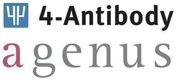 4-Antibody AG